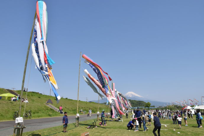 狩野川ふれあい広場で開催される鯉のぼりフェスタ