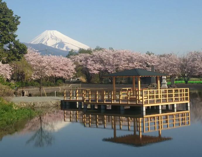 清水町にある丸池公園