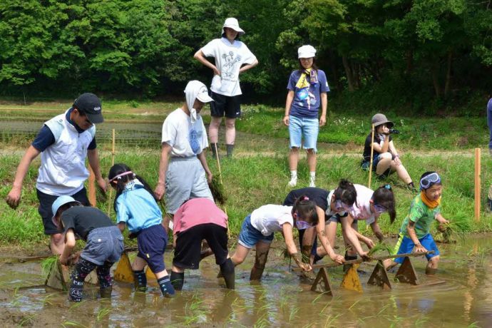 白井市で農作業体験する子どもたち