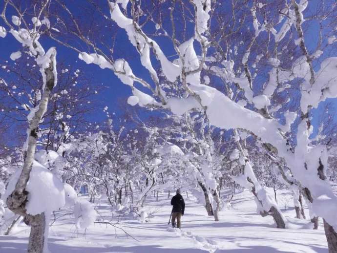 一面に雪が積もったオロフレ峠