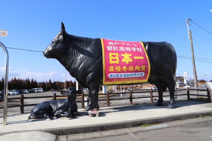 鹿児島県曽於市産の和牛