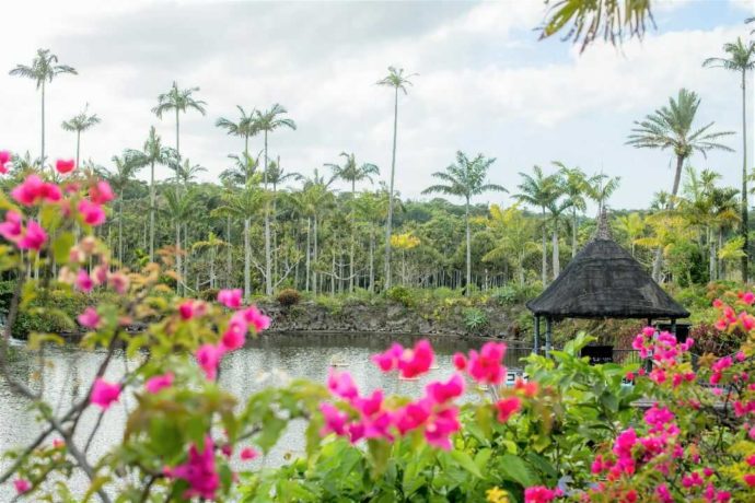 東南植物楽園の水上楽園