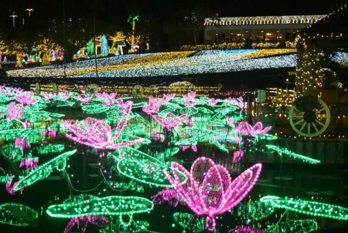 東南植物楽園のイルミネーション