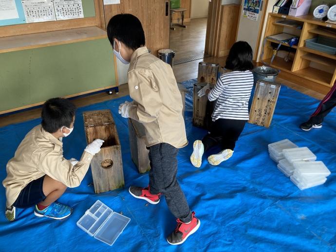 ブッポウソウの保護活動をする小学生