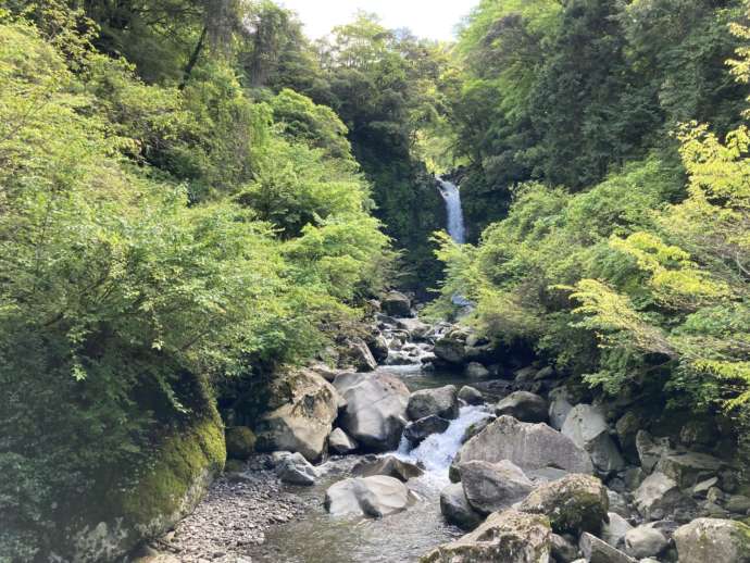 静岡県富士市にある「須津山休養林キャンプ場」のそばを流れる須津川の様子を引きで眺める