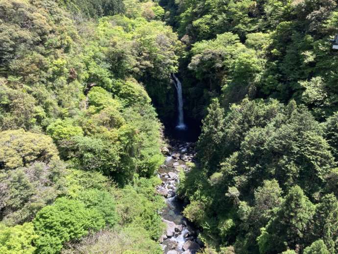 「須津山休養林キャンプ場」の近くにある大棚の滝を引きで眺める