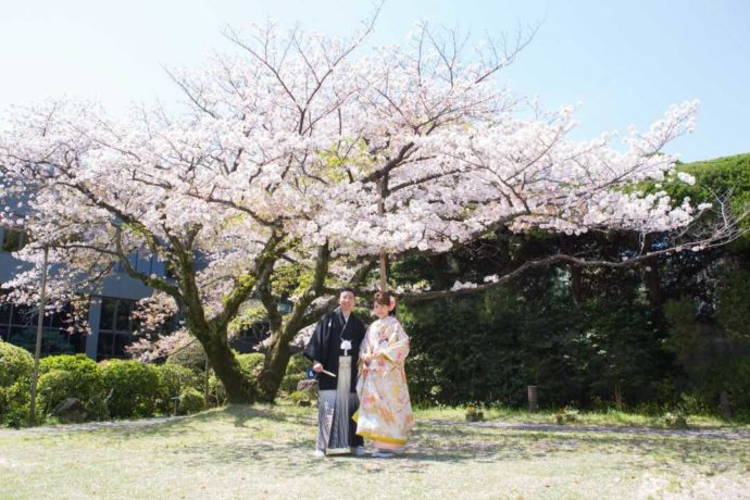 萃香園ホテル庭園内桜の下に佇む新郎新婦