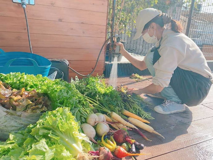 獲れたての野菜を洗うSUN FARMERS CAFEのスタッフ