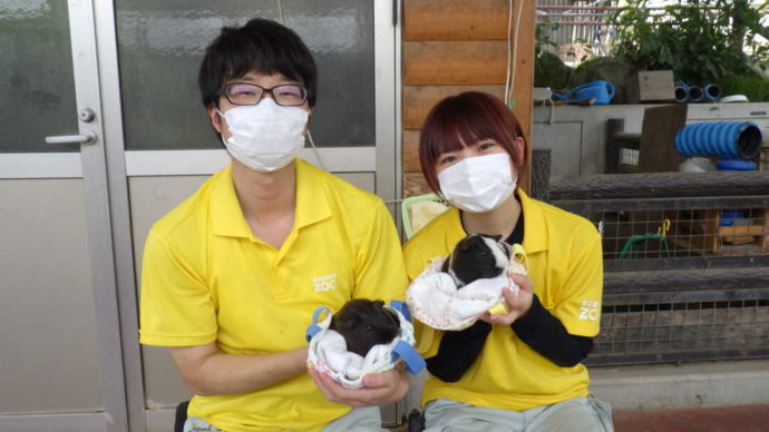 長野県須坂市にある「須坂市動物園」で行うふれあいの様子