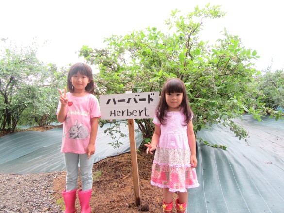 月山高原鈴木農園の来園者について