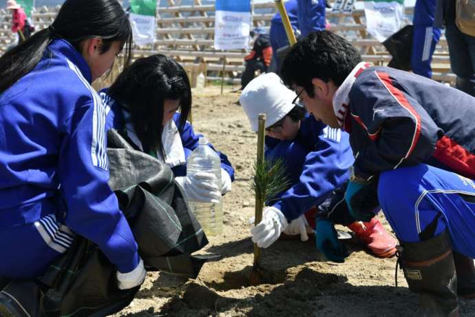 高田松原で植樹に取り組む人々