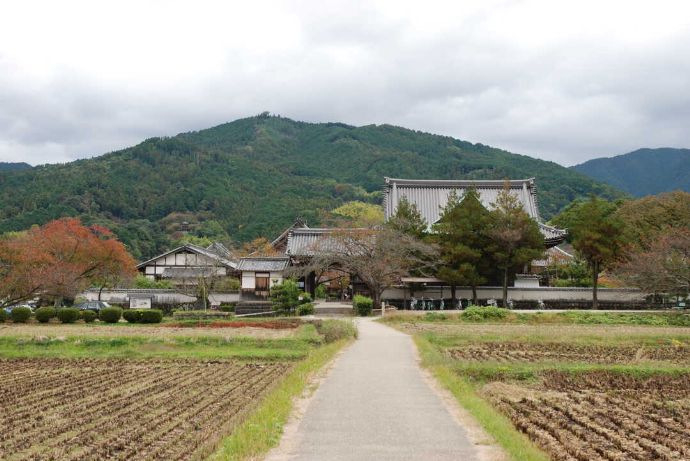 橘寺の西側外観