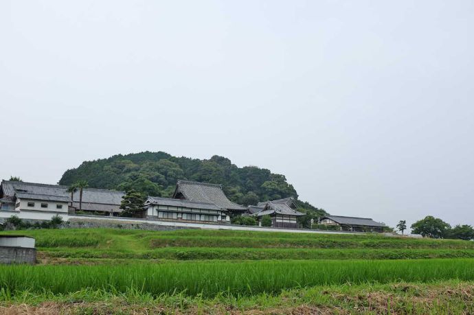 橘寺の北側外観