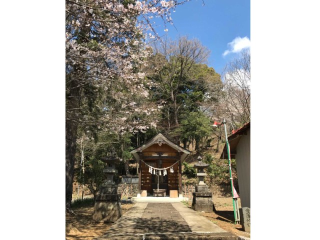 栃木県佐野市にある「賀茂別雷神社」の敷地内の様子