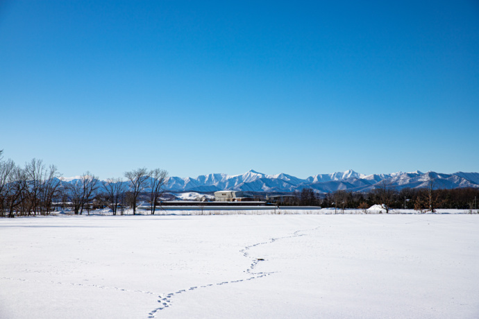 大樹町の雪景色