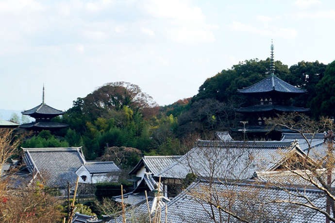 當麻寺奥院から東西の双塔を眺める