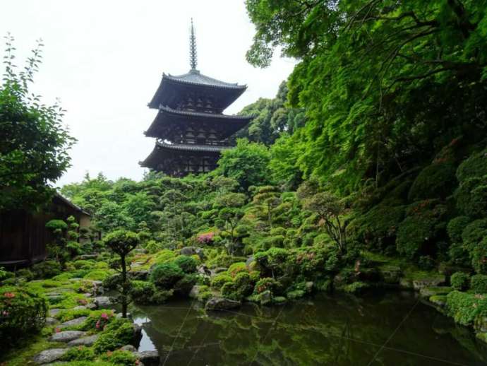 「當麻寺西南院」の新緑にあふれた庭園（春）