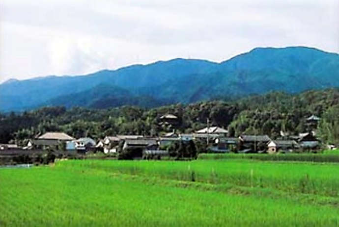 「當麻寺西南院」の緑豊かな周辺環境