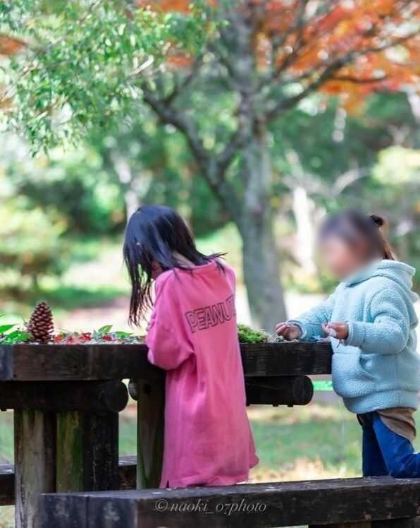 鯛生家族旅行村でのキャンプは四季それぞれの魅力あり