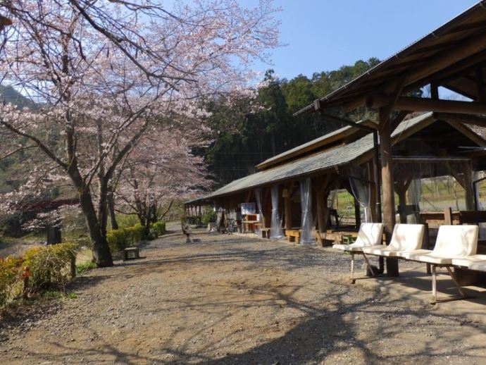 埼玉県飯能市にあるたいら栗園のバーベキュー