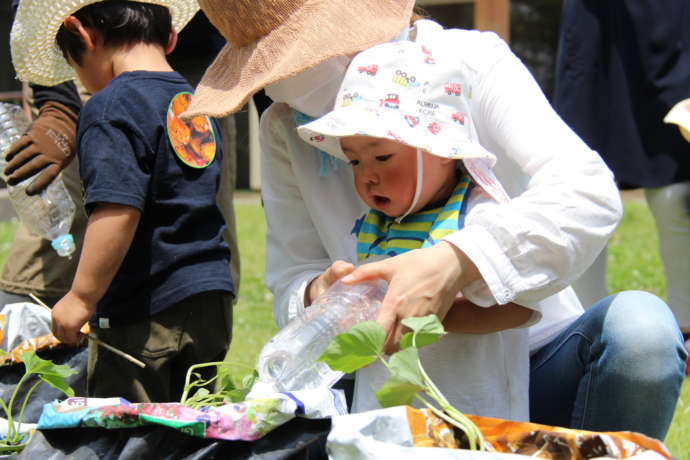 ペットボトルで野菜に水をやる幼児と、それをサポートする大人