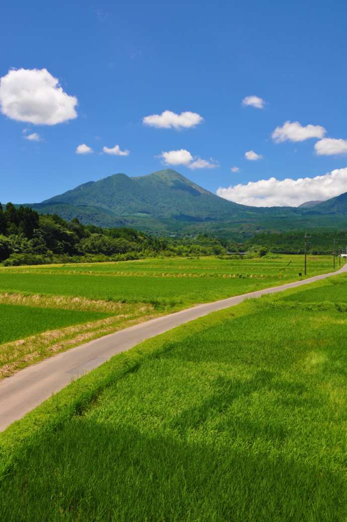 高原町の田んぼ道