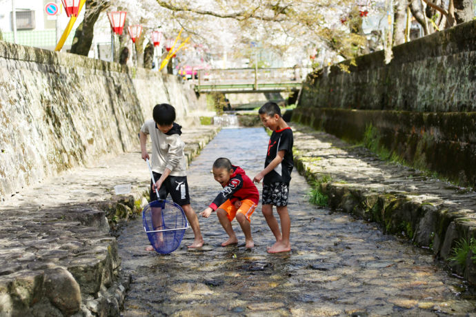 川遊びをする子ども達