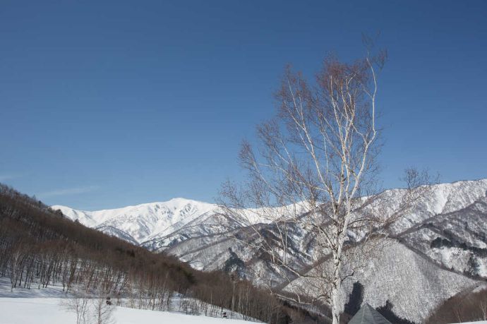 青空が広がる会津高原高畑スキー場