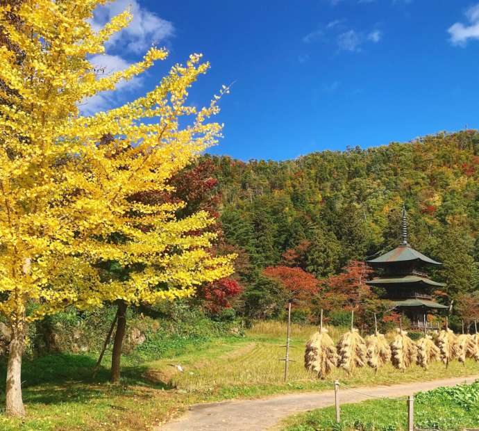 高畠町の「まほろば古の里歴史公園」