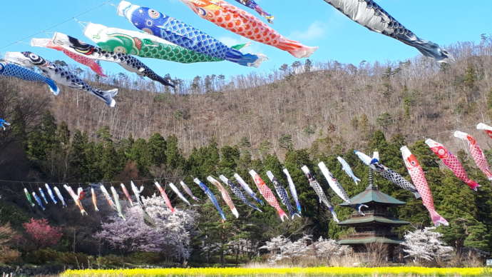 まほろば古の里歴史公園の春