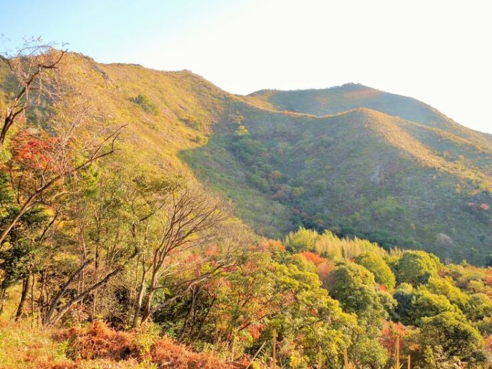 高砂市にある高御位山の紅葉の時期の写真