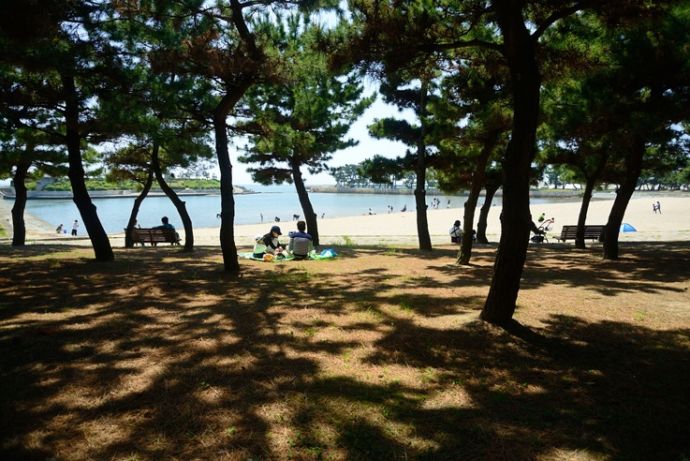 高砂市の高砂海浜公園でピクニックする人々