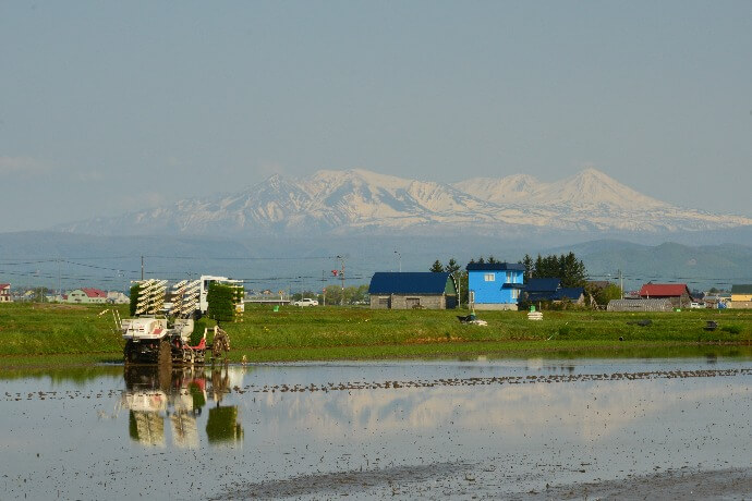 鷹栖町の田園風景