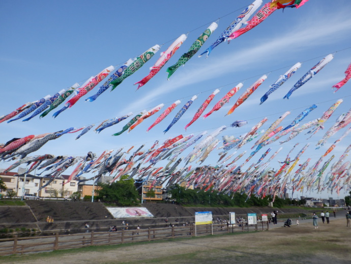 大阪府高槻市で開催されるこいのぼりフェスタ1000で飾られているこいのぼりの写真