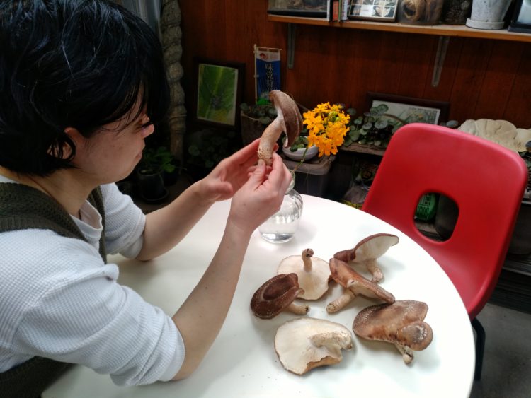 高槻椎茸センターの来園者からの口コミ