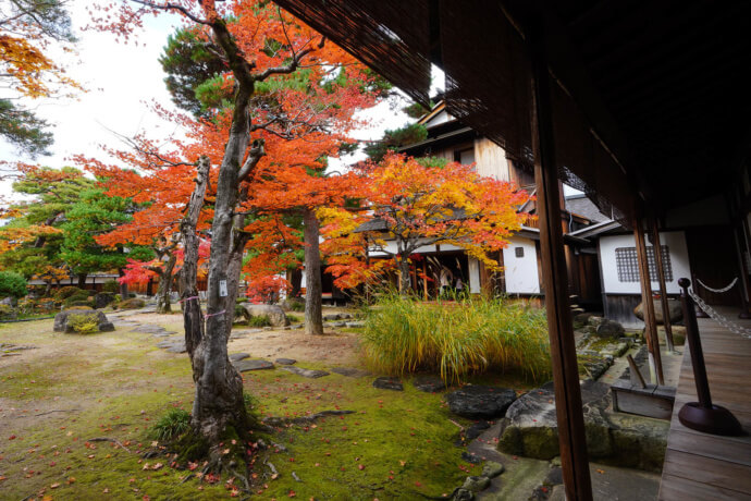 高山陣屋の紅葉風景