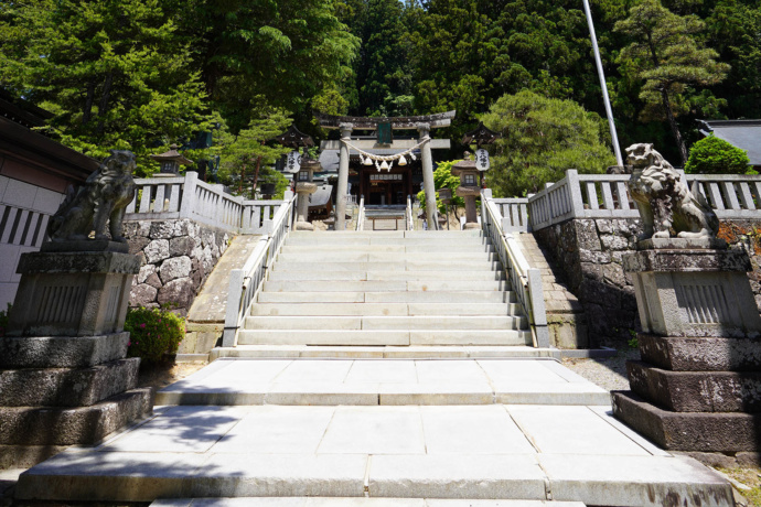 櫻山八幡宮の狛犬前から見た鳥居の風景