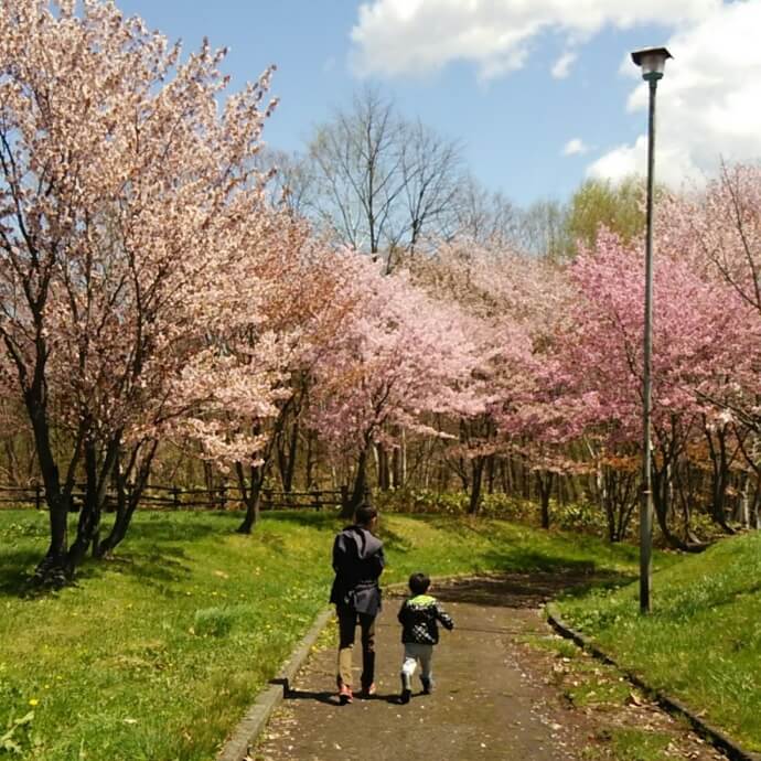 江部乙公園で散策する祖母と孫