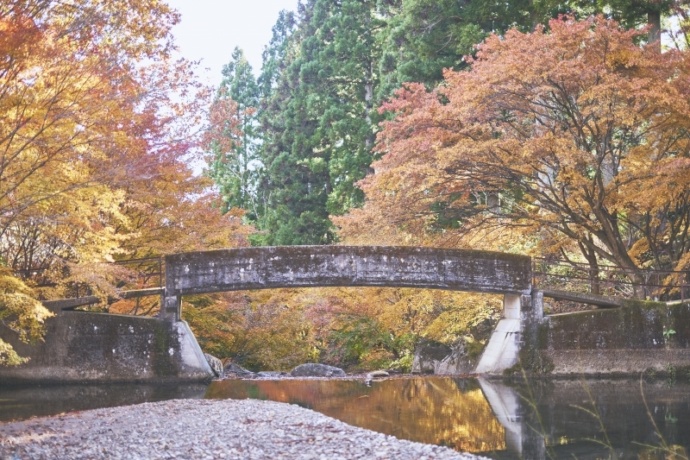 たくみの里内にある泰寧寺（たいねいじ）の紅葉