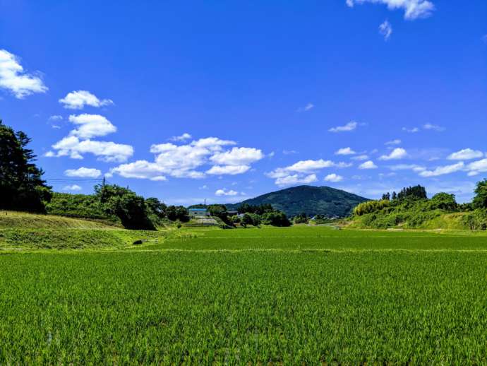 田村市の夏の風景