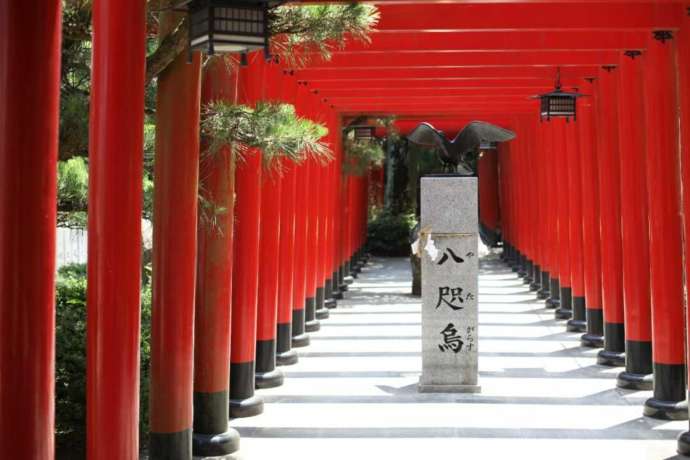 讃岐國一宮田村神社の朱色の連鳥居