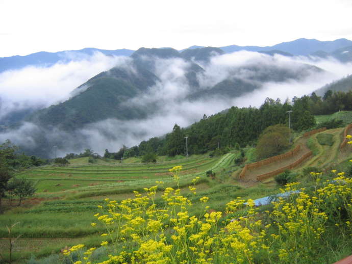 中辺路地域（高原棚田風景）