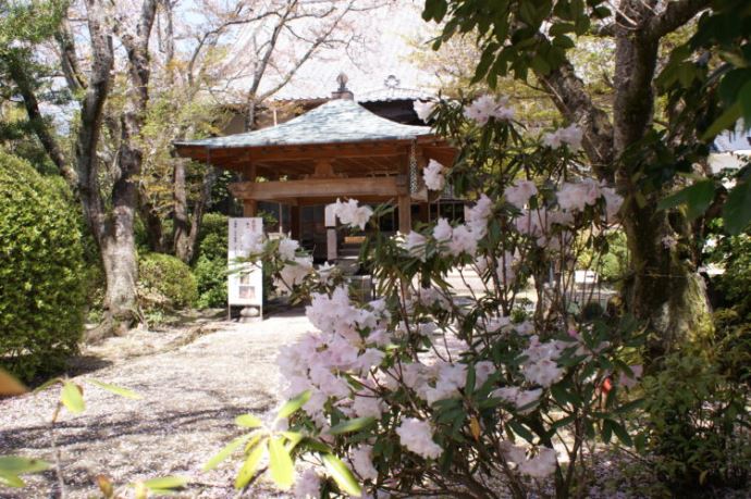 日晴れ詣りではどのような事をするのでしょうか？