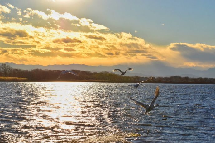 夕暮れ時の多々良沼