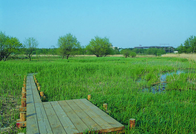 茂林寺沼の湿原