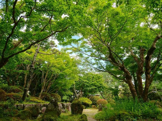 千葉県館山市にある城山公園の日本庭園