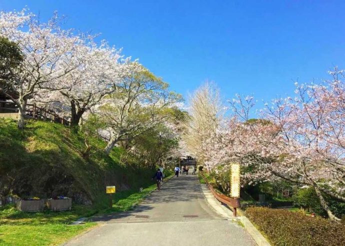 千葉県館山市にある城山公園の山頂広場へと続くスロープ