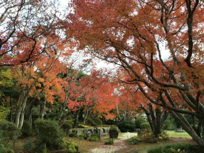 千葉県館山市にある城山公園の日本庭園と紅葉