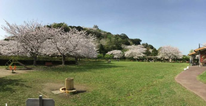 千葉県館山市にある城山公園の芝生広場