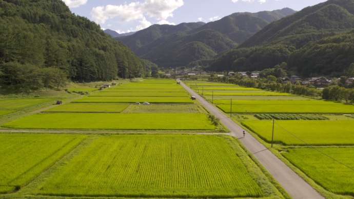 田んぼの両側を山が囲む「川島地区」の風景